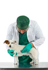 Visita veterinaria cardiologica