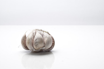Garlic isolated on white background