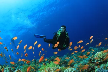 Tuinposter Scuba Diver swims through tropical fish on coral reef © Richard Carey