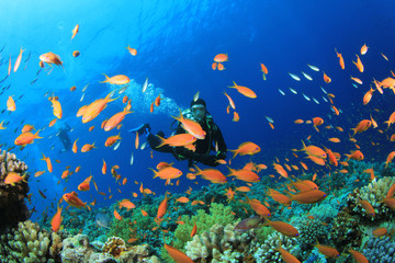 Fototapeta na wymiar Scuba Diver Pływałem przez tropikalnych ryb na rafie koralowej