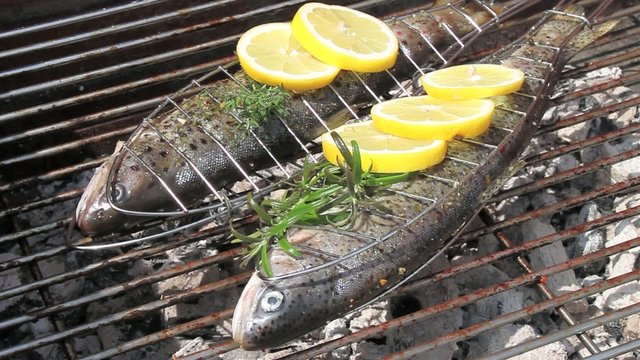 Grillen - 010 - Forelle