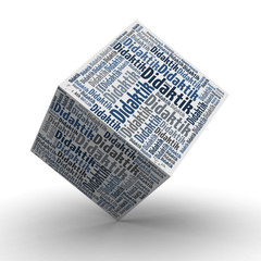 Didaktik Würfel / Cube