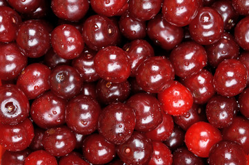 background of fresh cherries