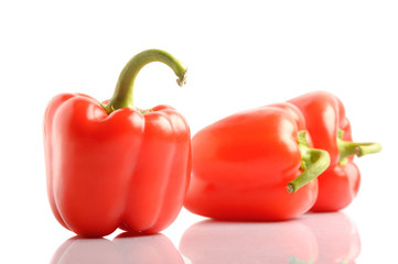 isolated bell pepper paprika