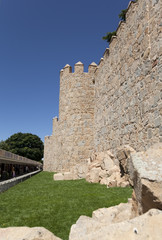 Fototapeta na wymiar castle protect walls Spain