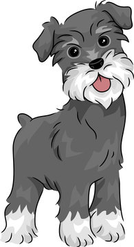 Schnauzer cartoon outlet