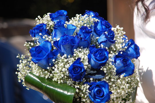 rosa o rose blu per te!!