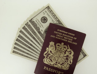 passport dollar bill