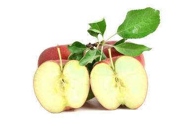 Apfel