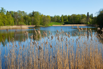 Gardens and parks of suburbs of St. Petersburg