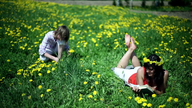Mother with daughter reading a book on meadow