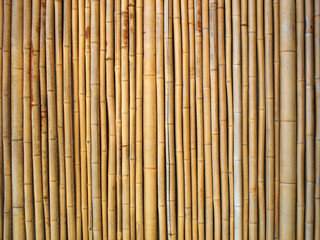Fond bambou