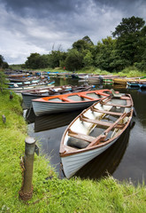 Moored boats
