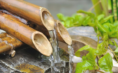 fontaine en bambou
