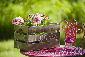 Gartenidylle