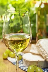 White wine, Brie, Camembert and grape on the table, outdoor