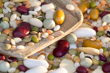 Mixed vegetables on wooden spoon and a white background