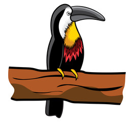 Beautiful toucan on branch © branchecarica