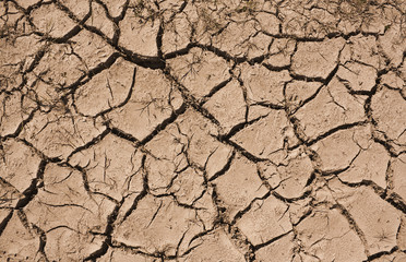 Drought