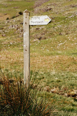 wooden footpath waymarker