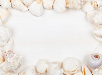 Seashell frame