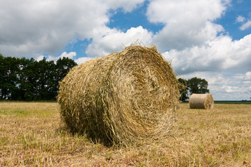 haystacks on the filed