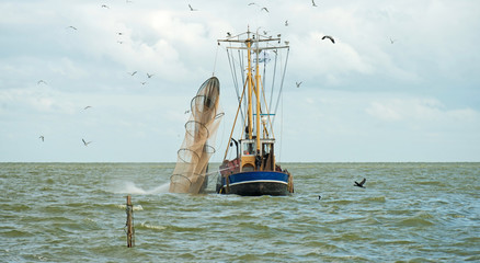 Trawler fishing in a lake