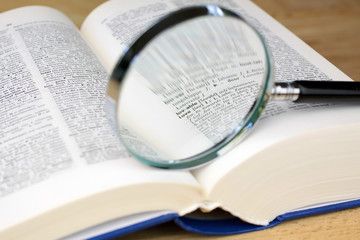 Lupe auf dem Wort Love