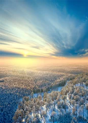 Photo sur Plexiglas Hiver Top view on winter forest on the morning