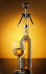 A glass of white wine and a bottle