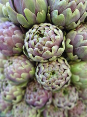 Obraz premium Mazzo di carciofi