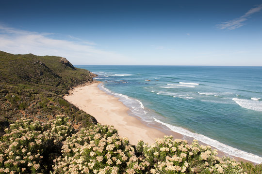 Beach along the Great Ocean Road