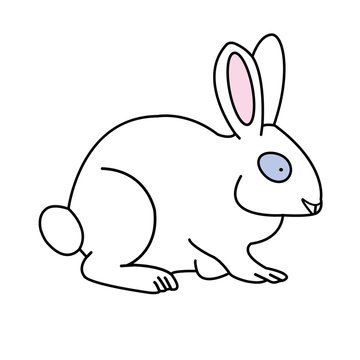 Rabbit sketch