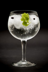 Gin tonic