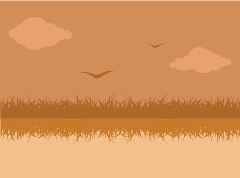 grass background