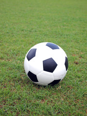 Fototapeta premium soccer ball on green grass