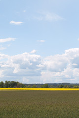 Latvian landscape.