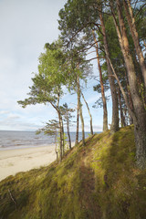 Fototapeta premium Baltic sea coast.