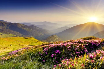 Fotobehang Lavendel berglandschap