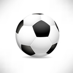 Fototapeta premium Soccer Ball