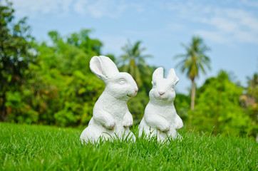 couple of white rabbit in garden