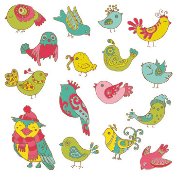 Colorful Birds Doodle Collection - hand drawn in vector - for de