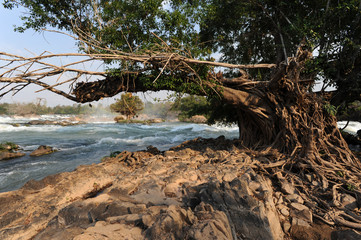 Cascata Khon Phaphen nel fiume Mekong in Laos