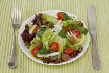 vegetable salad on the white plate