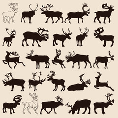 reindeer-set - 42156123