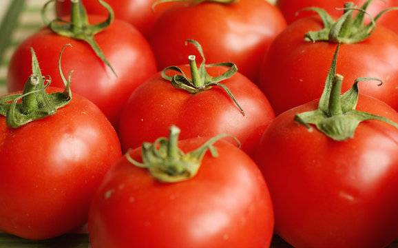 Fresh tomatoes