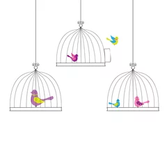 Crédence de cuisine en verre imprimé Oiseaux en cages Des oiseaux