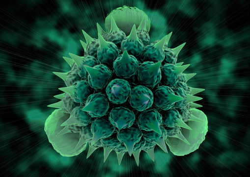 Pollen Mikroskop" Bilder – Durchsuchen 5 Archivfotos, Vektorgrafiken und  Videos | Adobe Stock