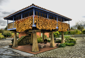 Panera en el jardin botanico