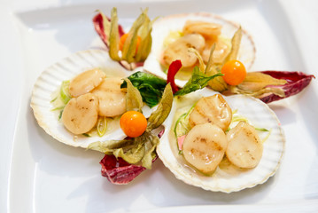 Scallops on banquet table